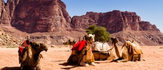 11 Days in Israel & Jordan